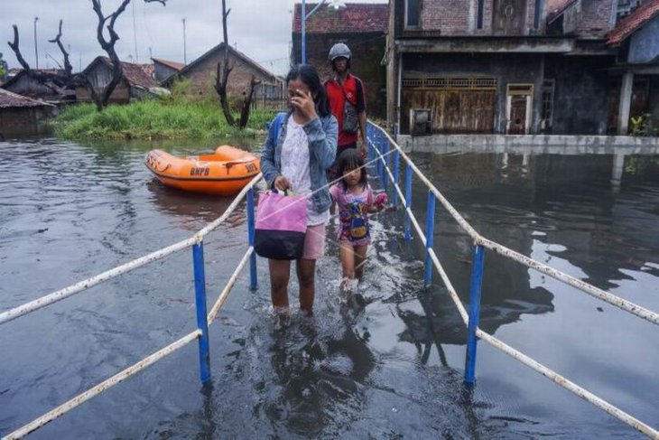 Banjir di Pekalongan