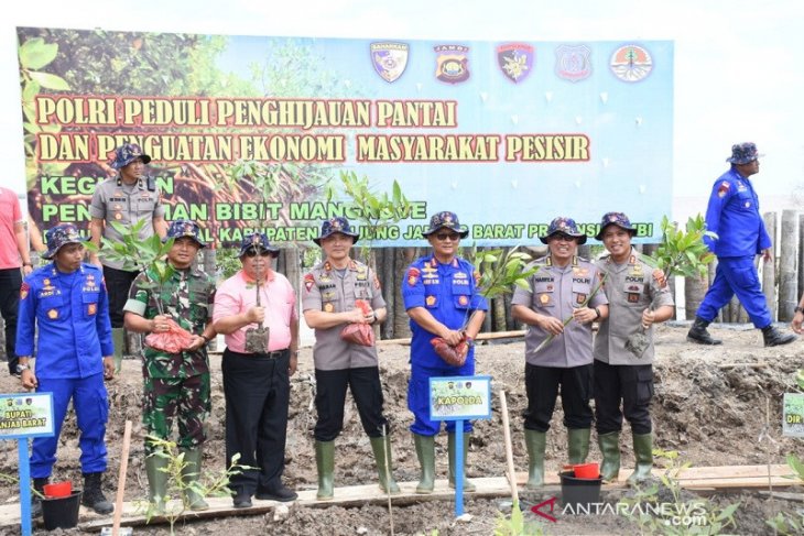 Kapolda Jambi bersama Bupati Tanjab Barat tanam pohon magrove