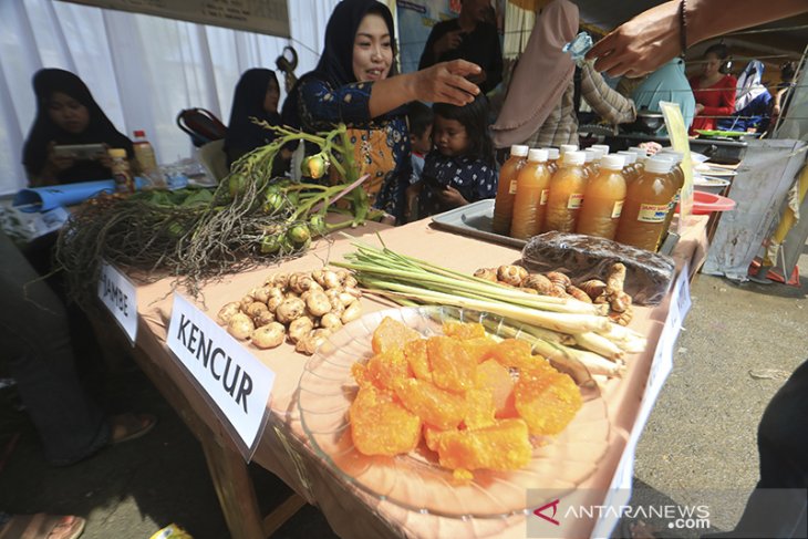 Pameran potensi UKM desa 