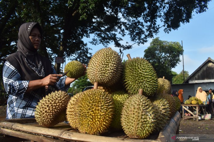 Penjual musiman durian Madiun