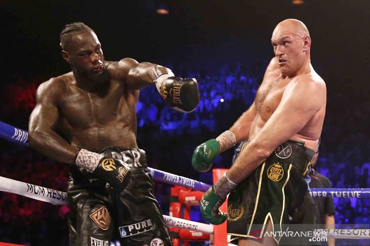 Wilder anggap Fury belum layak juara dunia sejati