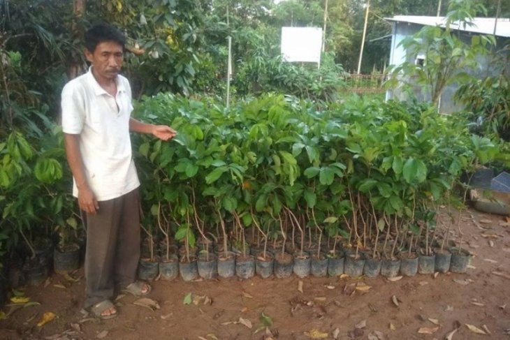 Cegah kepunahan, Petani Lebak lestarikan rambutan varietas tengkue