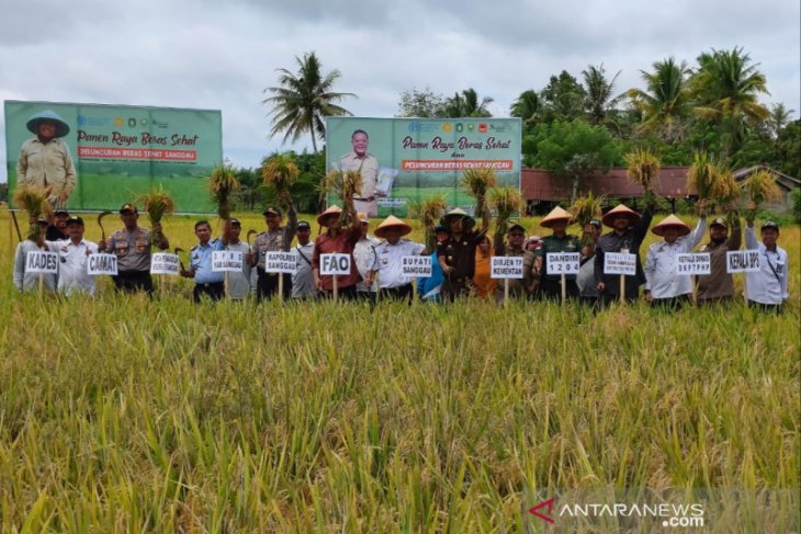 Kalbar targetkan 1,58 juta GKG pada tahun 2020