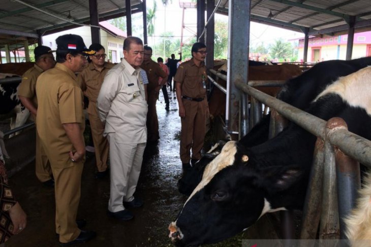 Sumbarsiapkan inseminasi 120.000 ekor indukan sapi pada 2020