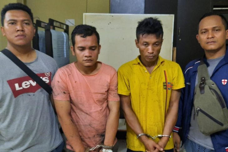 Polres Tanjungbalai amankan pengedar narkoba di kebun sawit