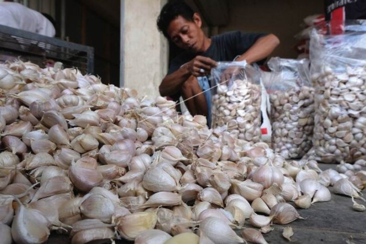 Bawang putih asal China