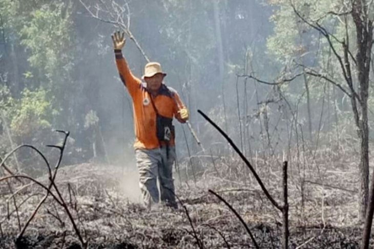 Kebakaran lahan di Barsel sudah enam kali