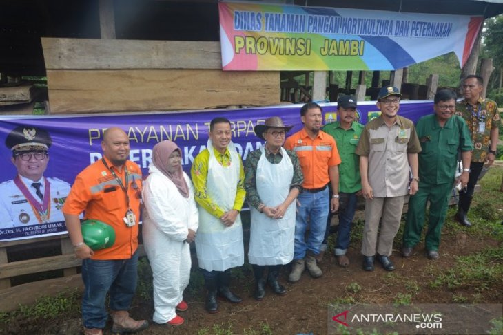 Menuju swasembada daging, Jambi siap sukseskan program