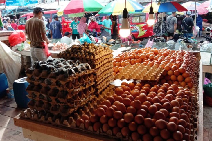 Harga telur ayam ras  di pasar Ambon  naik ANTARA News 