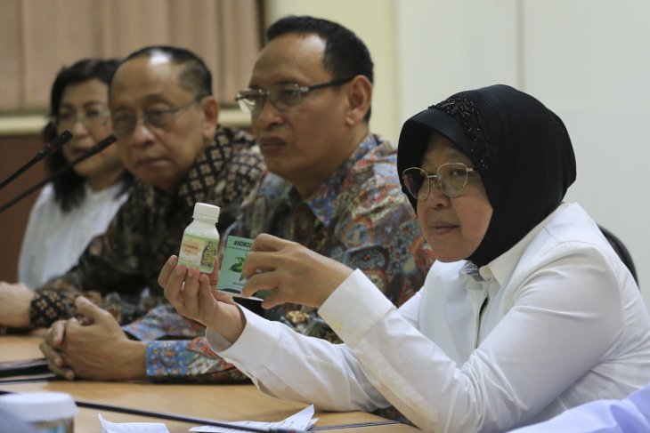 Tri Rismaharini dinilai sigap antisipasi corona di Kota Surabaya