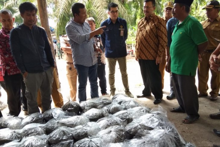 Rumah Kompos