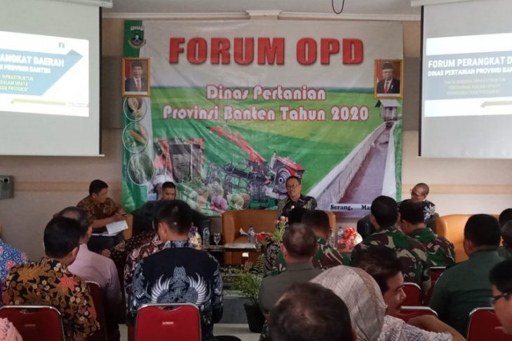 Untuk perkebunan durian dan pisang, Distan Banten siapkan 1.000 hektare