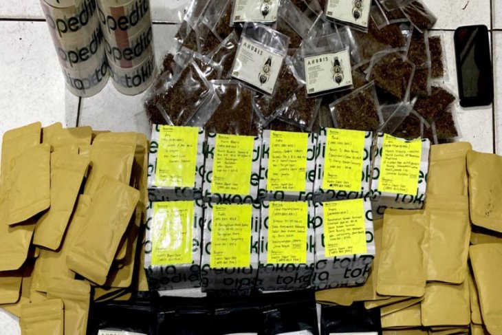Polda Kalbar gagalkan pengiriman narkoba jenis tembakau gorila asal Pontianak