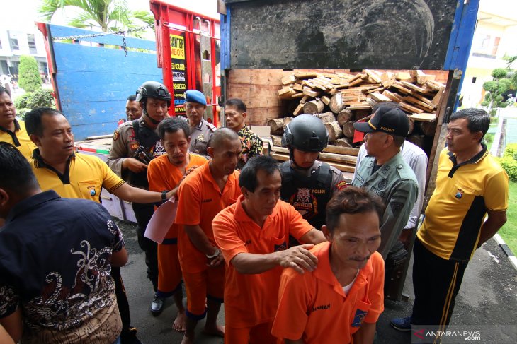 Ungkap kasus pembalakan liar