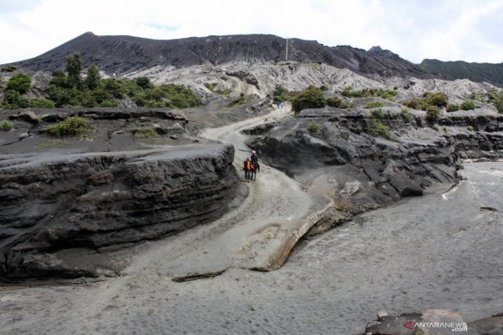 Wisatawan mancanegara Gunung Bromo menurun