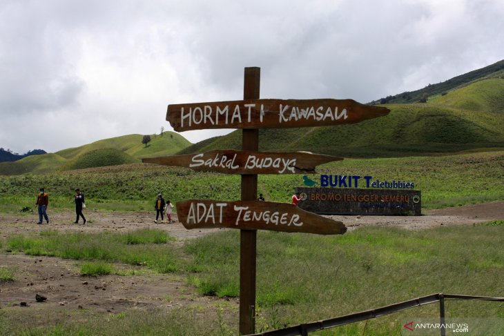 Wisatawan mancanegara Gunung Bromo nenurun