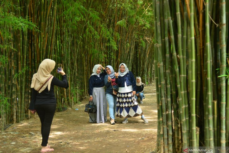 Wisata Hutan Bambu Surabaya