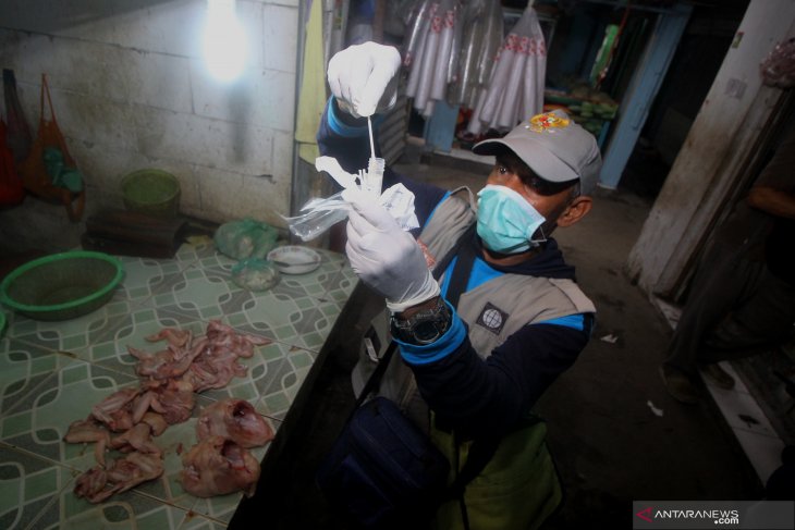 Antisipasi penyebaran virus flu burung