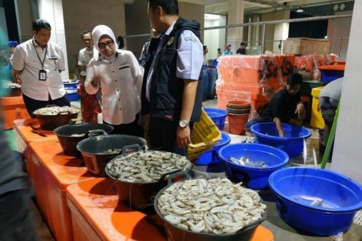 Perum Perindo: Perdagangan ikan tidak terganggu wabah corona