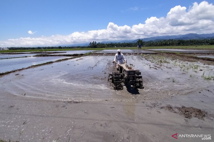 Dinas Pertanian imbau petani membuka lahan tanpa membakar
