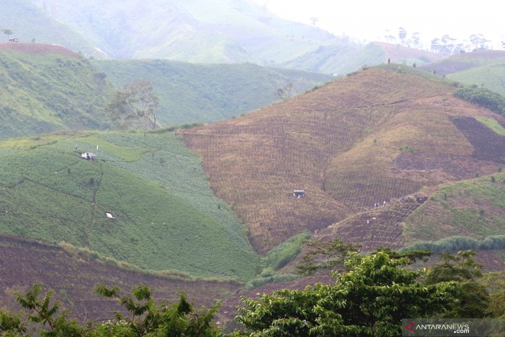 Alih fungsi hutan untuk lahan pertanian