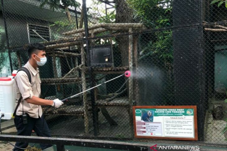 THPS intensifkan kebersihan fasilitas dengan penyemprotan disinfektan antisipasi penyebaran Covid-19