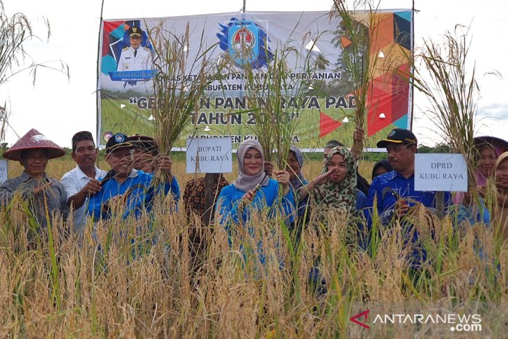 Bupati ajak petani Punggur Besar tanam padi dua kali setahun