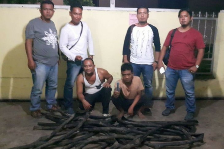 Polres Simalungun ungkap pencurian kabel di lahan perkebunan