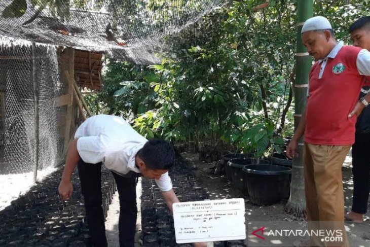 Mahasiswa Polbangtan Medan magang di CV.Socolatte