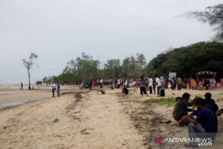 Warga Belolaut tanam 2.500 bibit mangrove