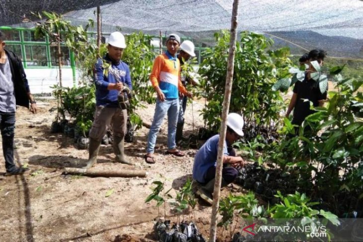 Kebun Raya Sipirok Tapsel dapat hibah ratusan jenis tumbuhan dari LIPI