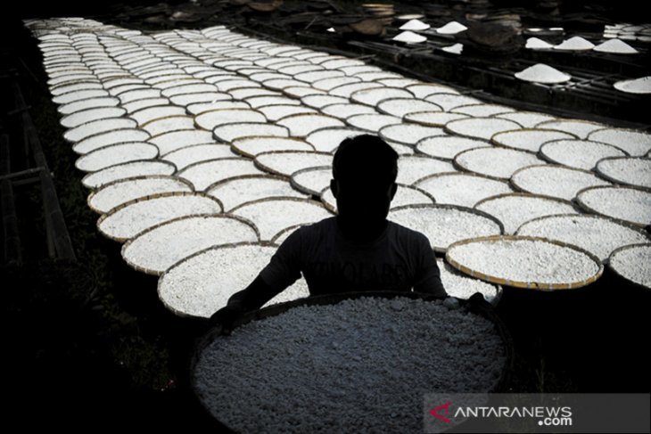 Penurunan produksi tepung Tapioka 