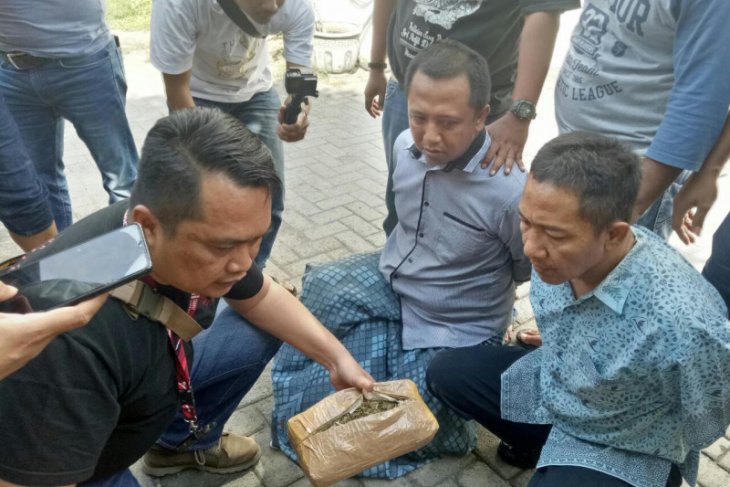 BNNP Jatim gagalkan penjualan tiga kilogram ganja di Surabaya