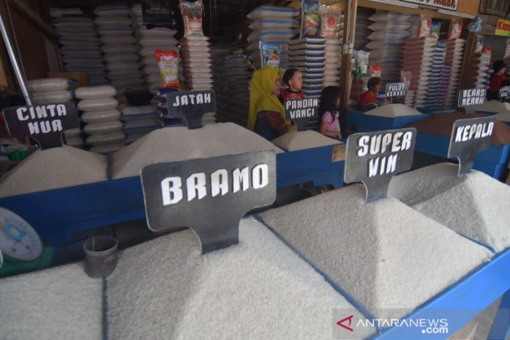 Pemerintah upayakan stabilitas harga bahan pokok saat pandemik corona