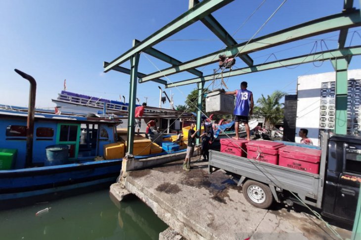 Nelayan di Kabupaten Belitung terpukul akibat harga ikan anjlok