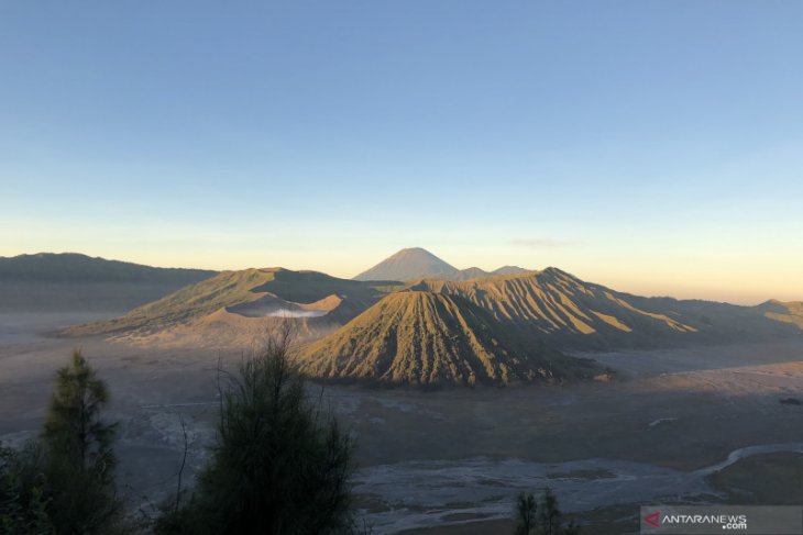 Penutupan kawasan Gunung Bromo diperpanjang - ANTARA News Jawa Timur