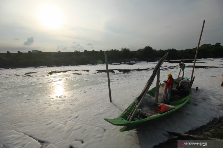 Busa Putih di Sungai Tambak Wedi