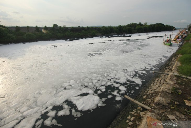 Busa Putih di Sungai Tambak Wedi