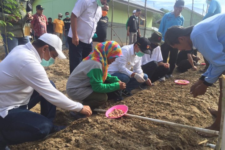 Petani di Sigi dapat bantuan tiga ton bibit bawang