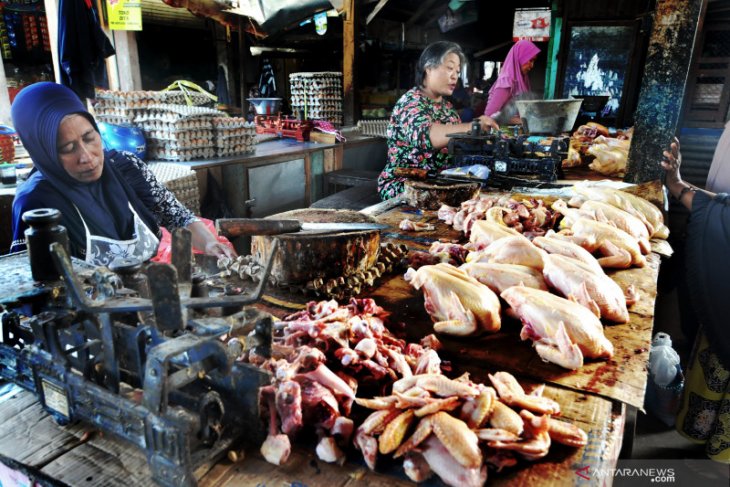 Harga ayam potong turun 