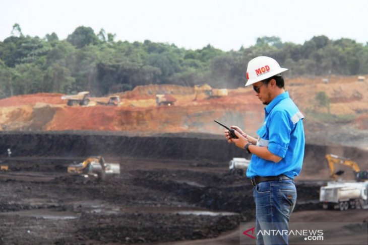 Mifa Bersaudara jamin pasokan batubara untuk kebutuhan dalam negeri