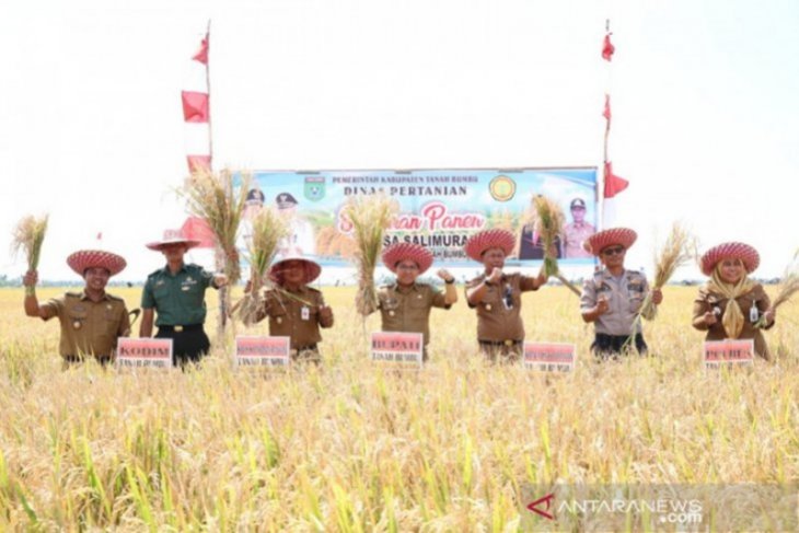 Tanah Bumbu Siap Jadi Lumbung Pangan Untuk Ibu Kota Baru Antara News