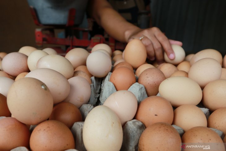 Stok Telur Ayam Jatim Aman