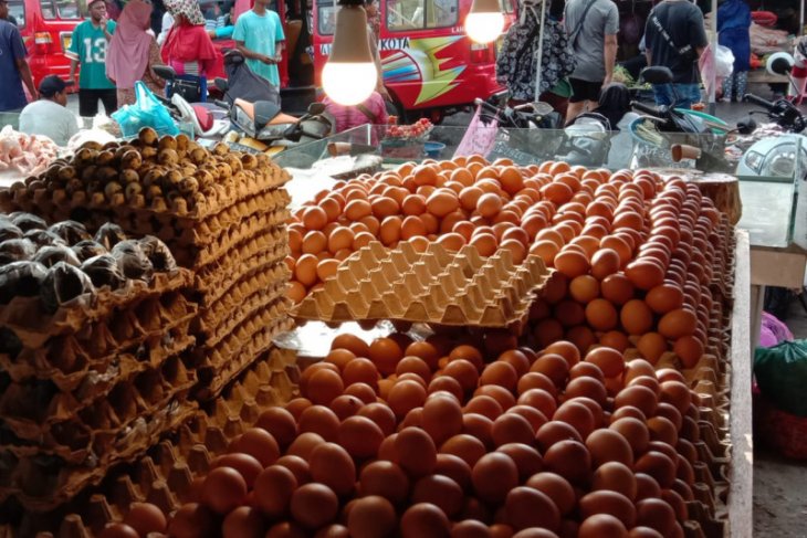 Harga telur ayam ras di pasar tradisional Ambon bervariasi