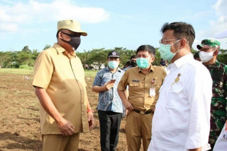 Mentan ingatkan masalah pangan saat pandemi COVID-19