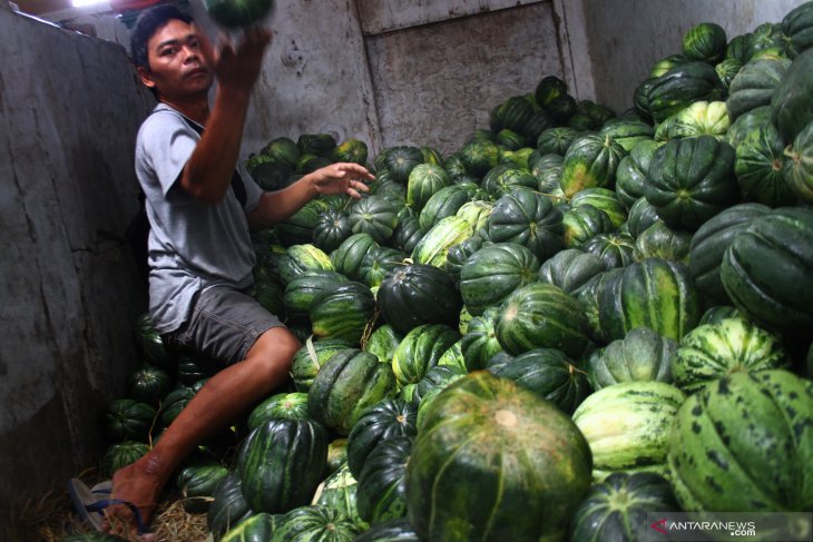 Pengusaha buah menambah stok blewah