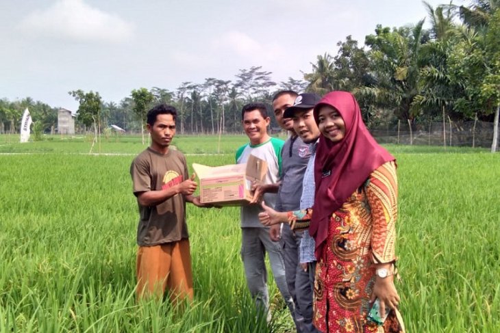 Distan Mukomuko pastikan stok pestisida tidak cukup