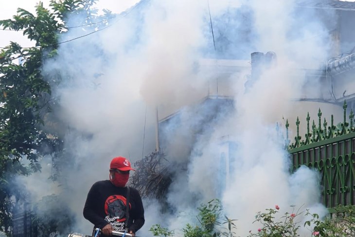 Preventing dengue, malaria to avoid double health burden amid corona