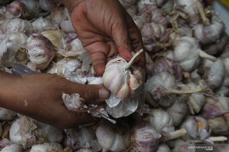 Pasokan bawang putih impor aman