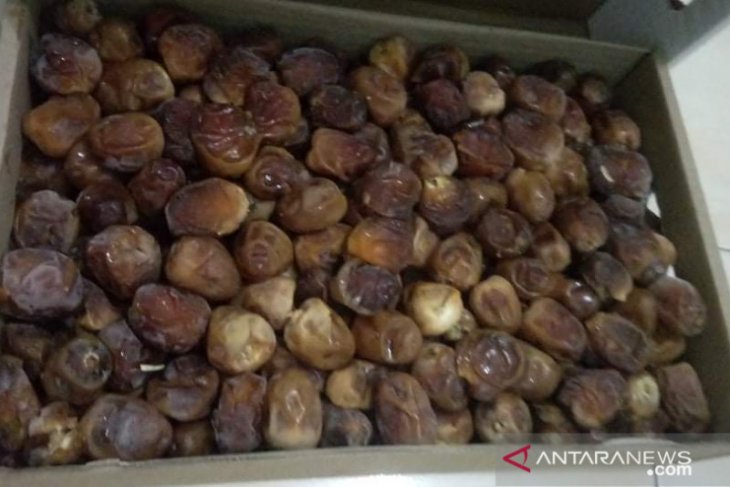 Keajaiban Kurma